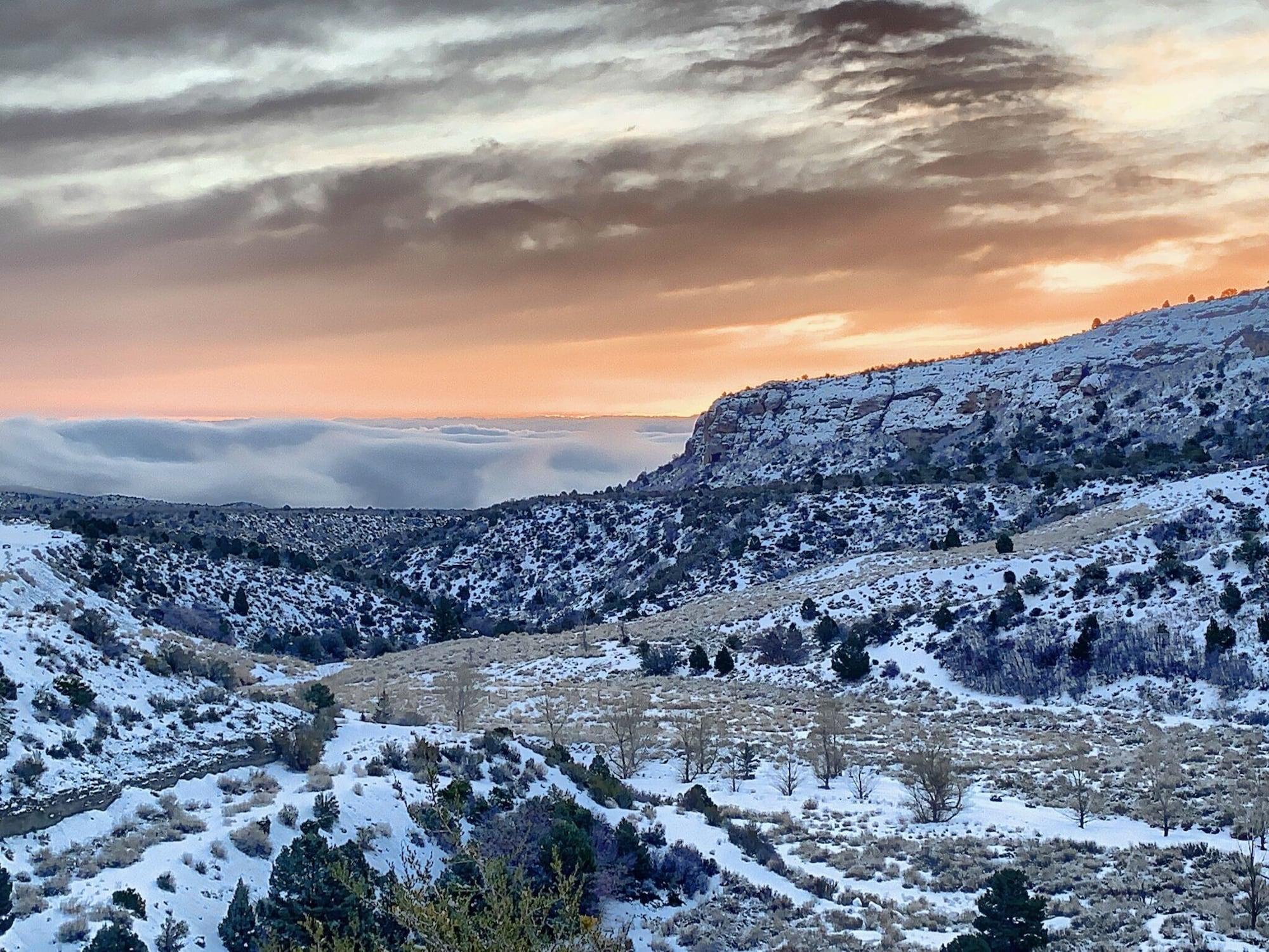 The Resort On Mount Charleston Εξωτερικό φωτογραφία